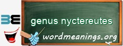 WordMeaning blackboard for genus nyctereutes